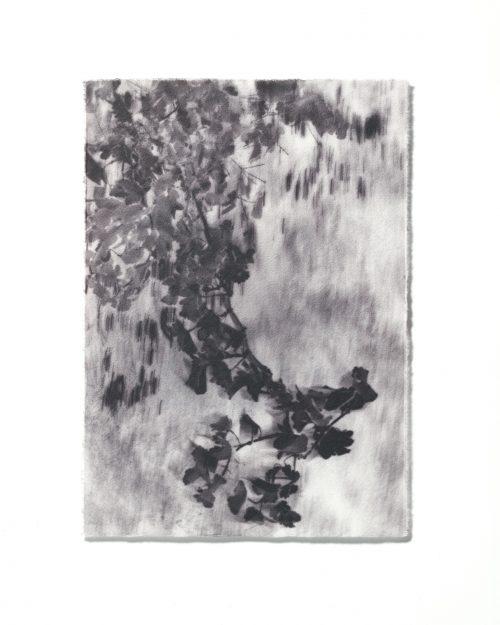 Tomoko Nagakawa: #85880, 2026