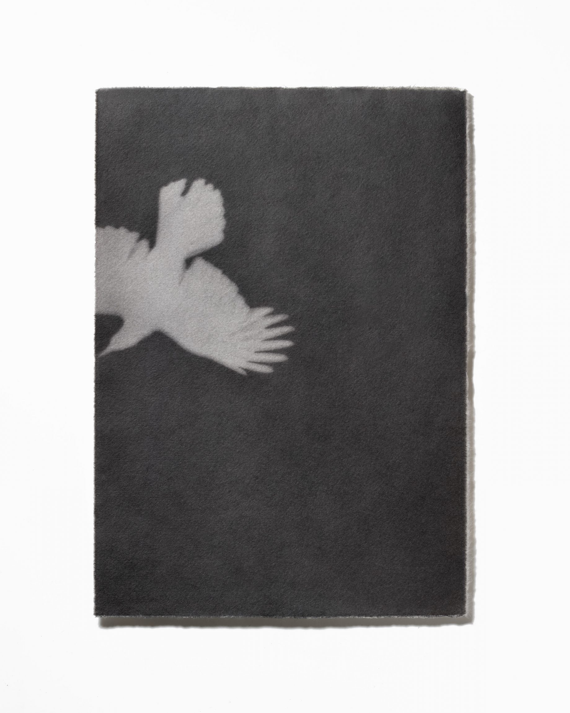 Tomoko Nagakawa: #86070, 2026 - Open Doors Gallery