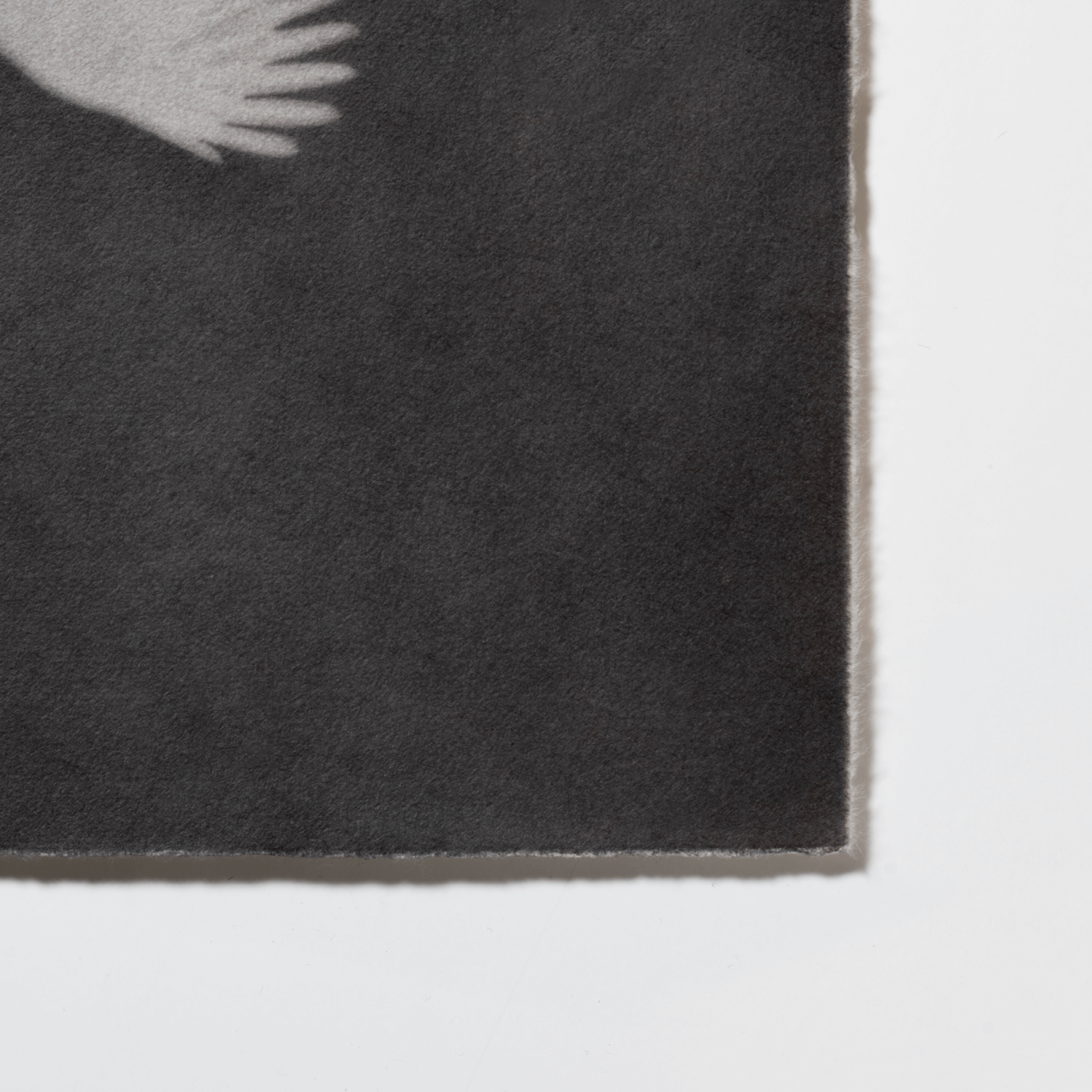 Tomoko Nagakawa: #86070, 2026