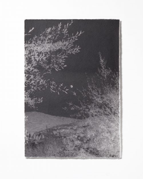 Tomoko Nagakawa: #86110, 2026