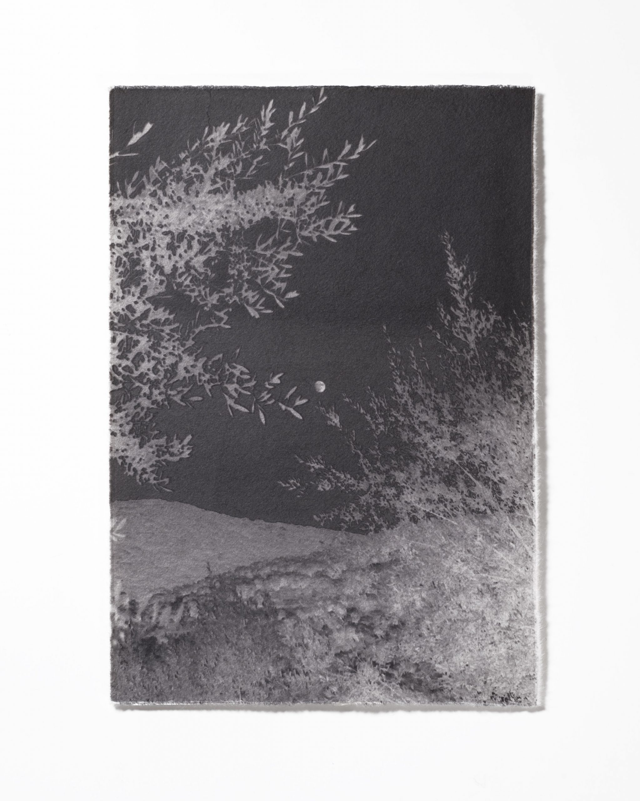 Tomoko Nagakawa: #86110, 2026