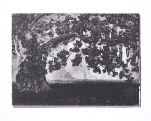 Tomoko Nagakawa: #86140, 2026