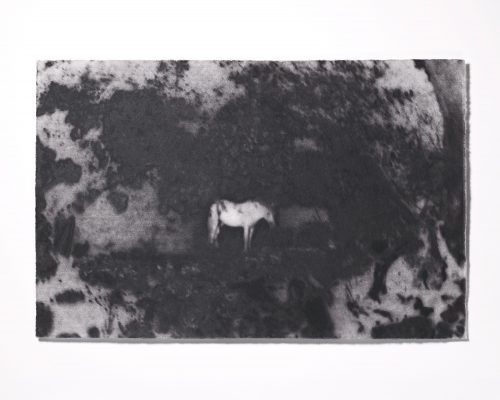 Tomoko Nagakawa: #86180, 2026