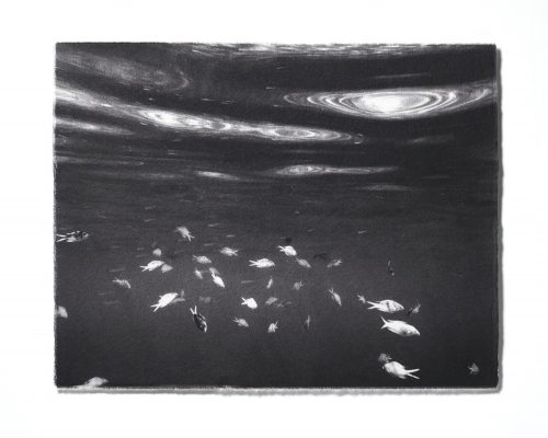 Tomoko Nagakawa: #9070746, 2026