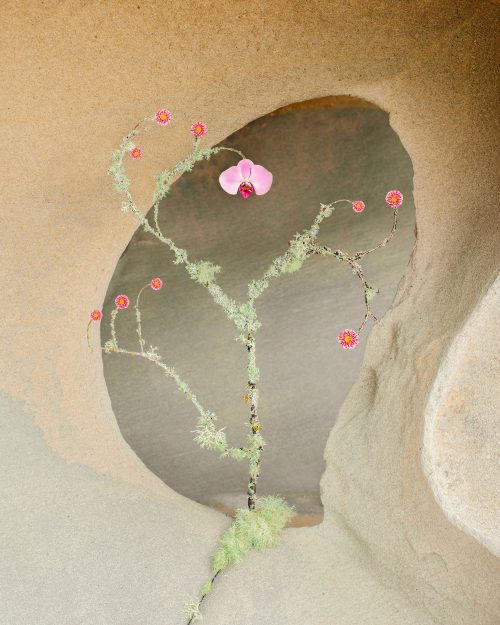 Jennifer Latour | Open Doors Gallery