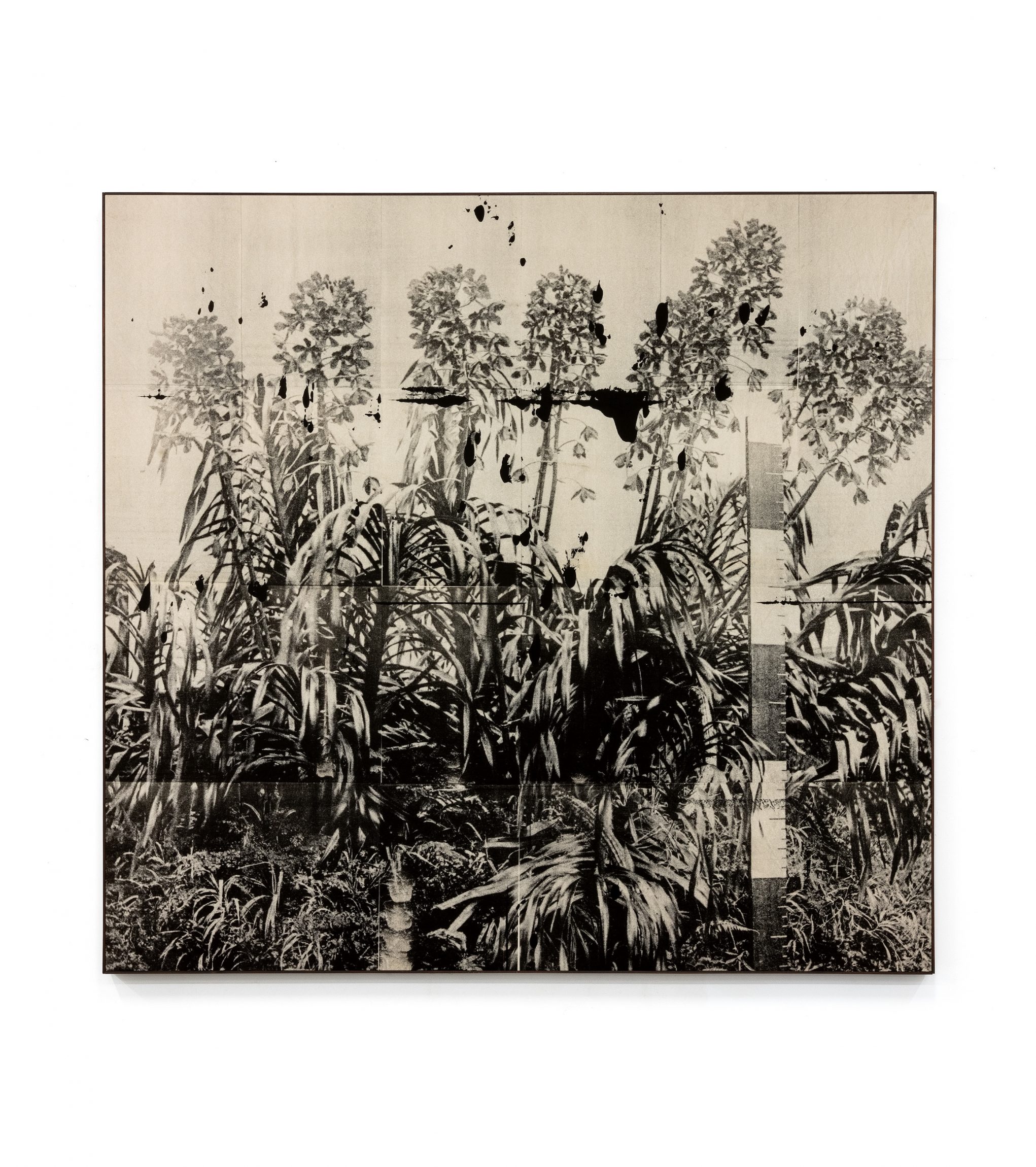 Wysocka / Pogo: 3 feet 4 inches, 2026 - Open Doors Gallery