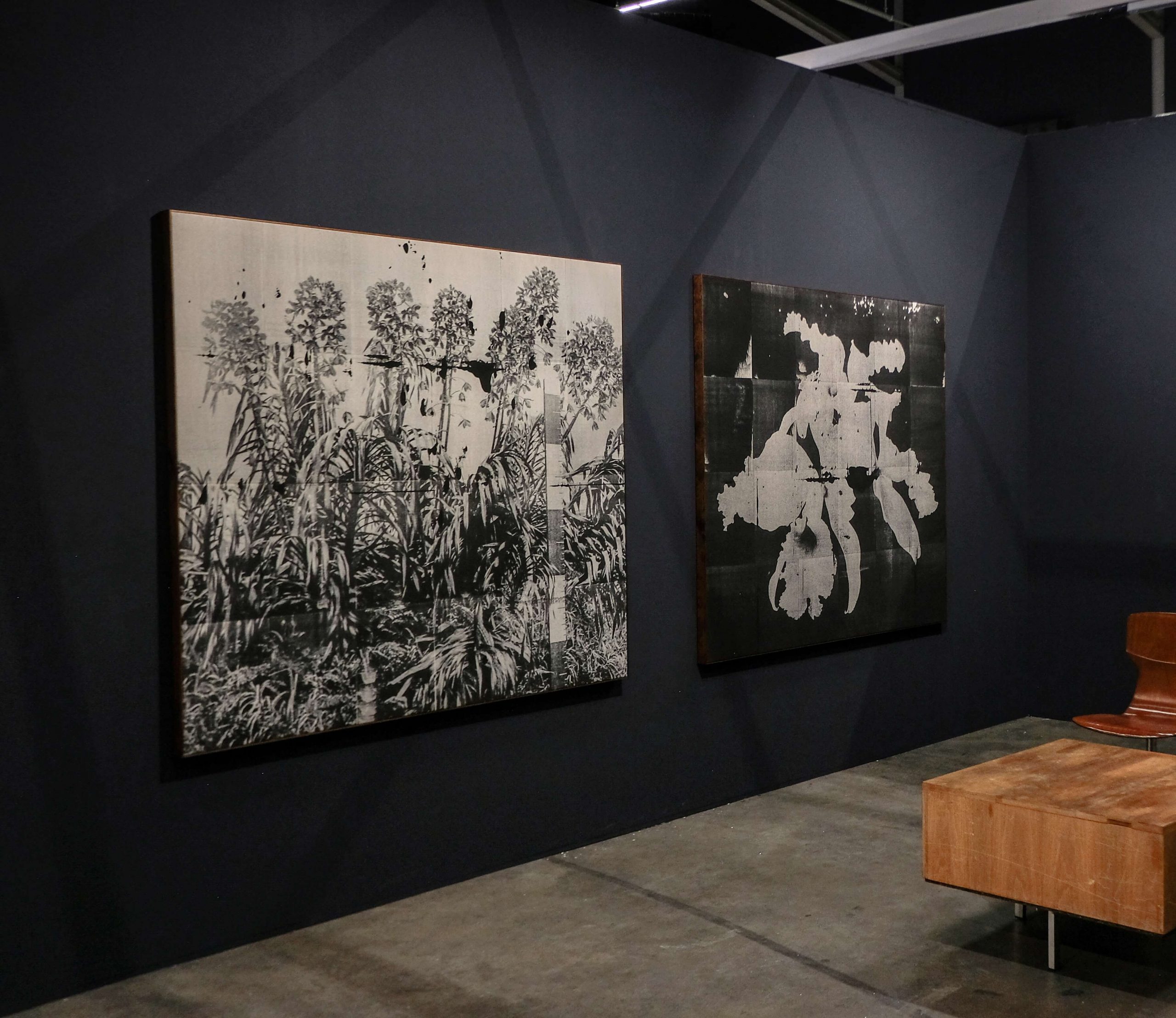 Wysocka / Pogo: 3 feet 4 inches, 2026