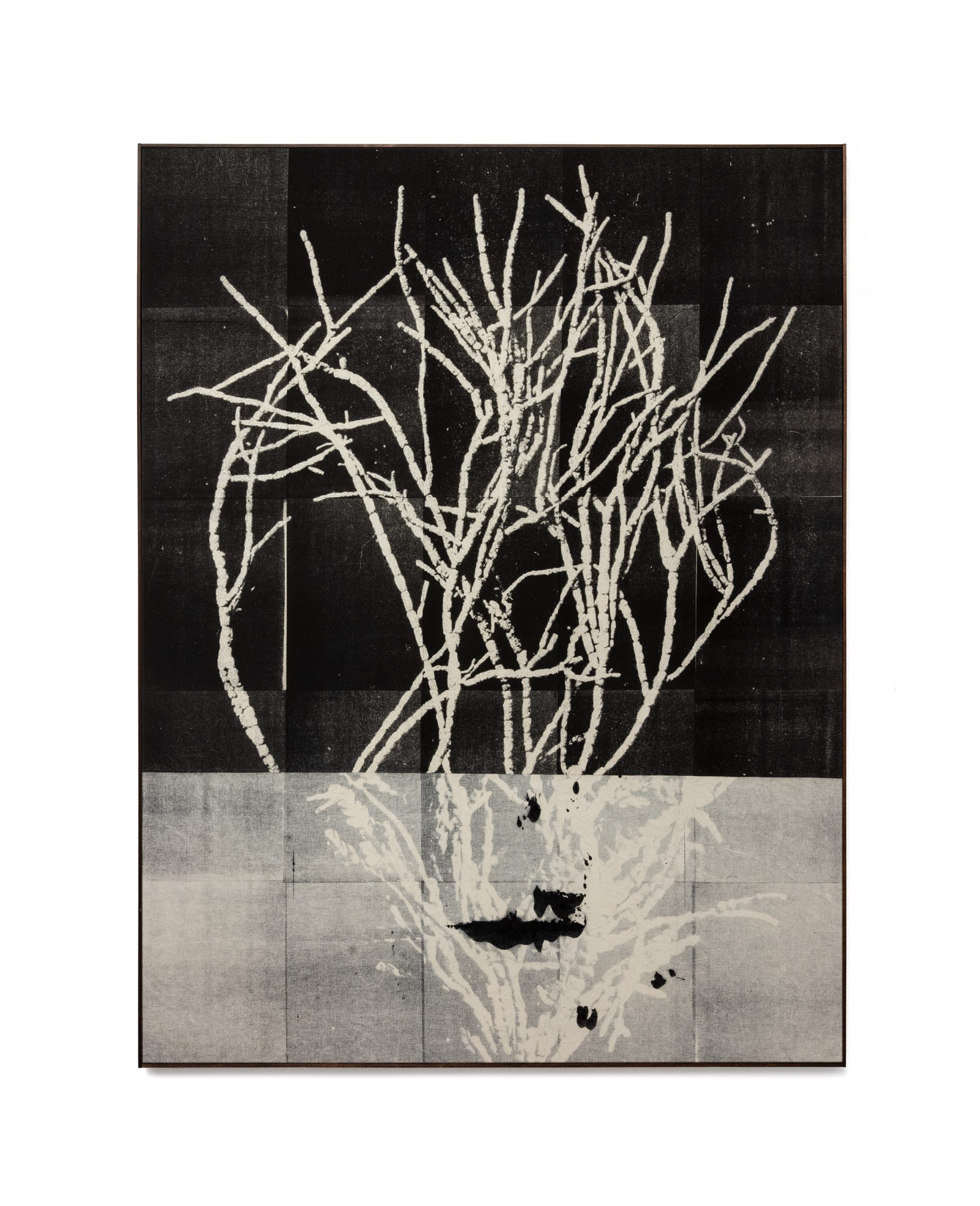 Wysocka / Pogo: Botanical Studies II, 2026