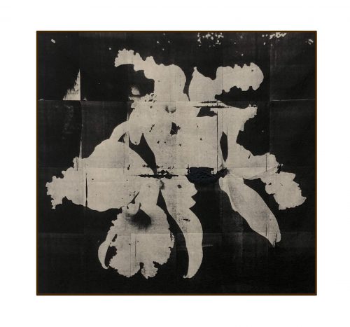 Wysocka - Pogo | Open Doors Gallery