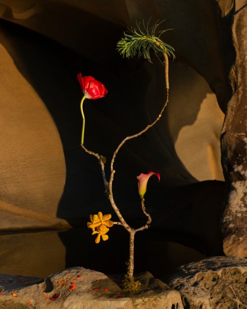 Jennifer Latour | Open Doors Gallery