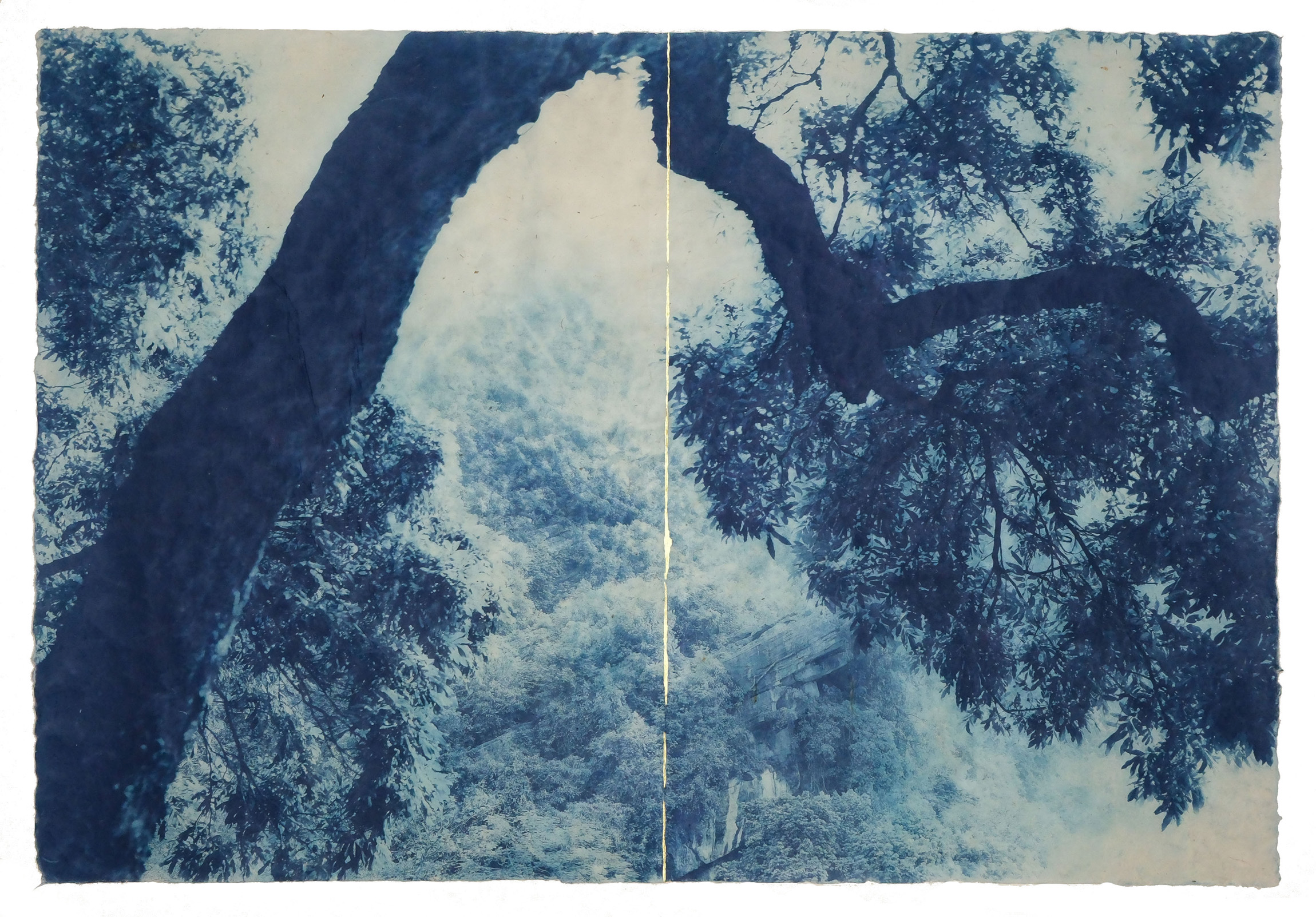 Luca Ortis: Shodo no.1, 2024