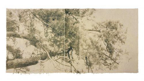 Luca Ortis: Shodo no.02, 2024