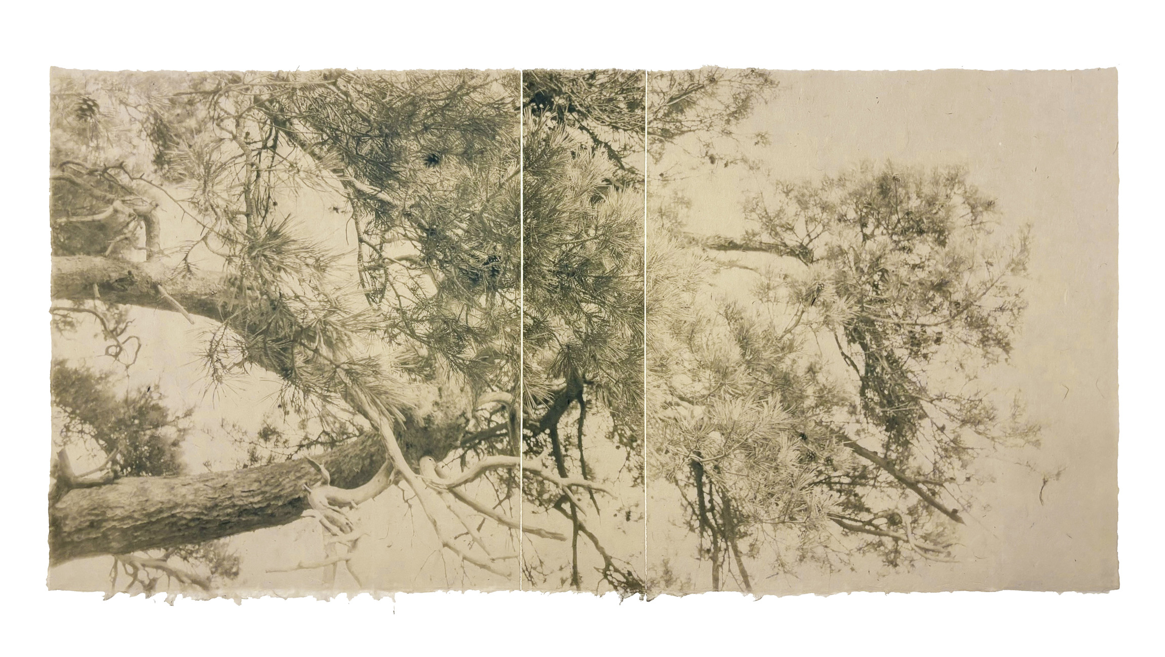 Luca Ortis: Shodo no.02, 2024