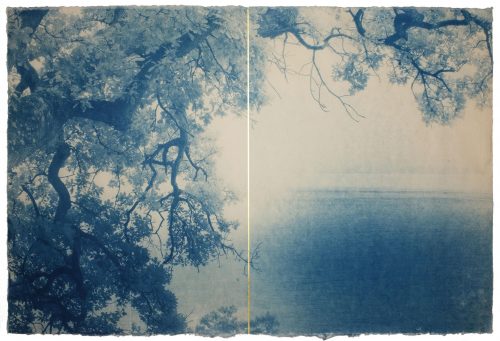 Luca Ortis: Shodo no.3, 2024