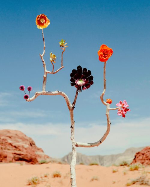 Jennifer Latour | Open Doors Gallery