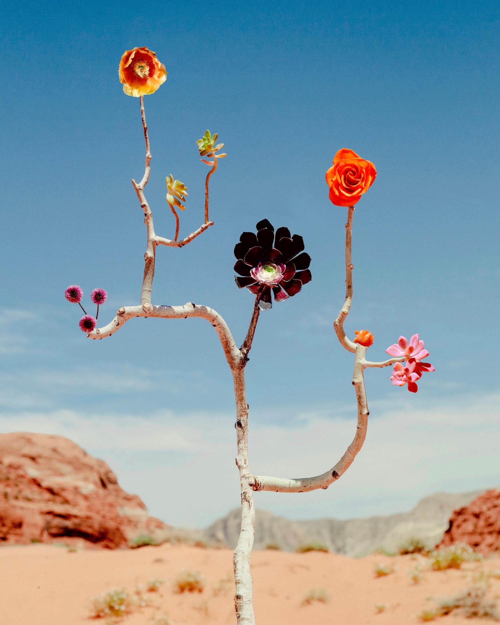 Jennifer Latour | Open Doors Gallery