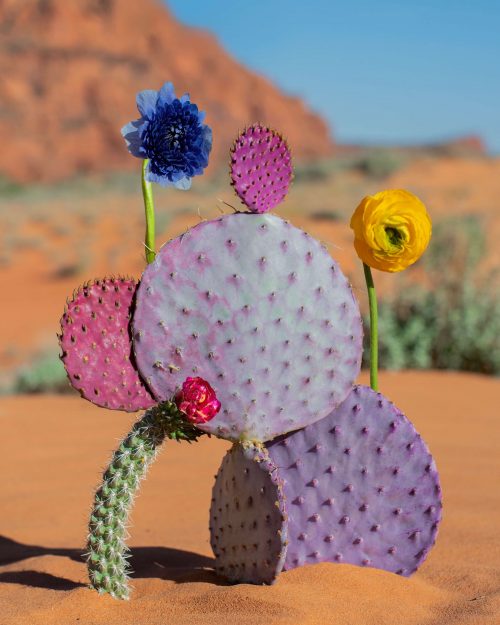Jennifer Latour | Open Doors Gallery