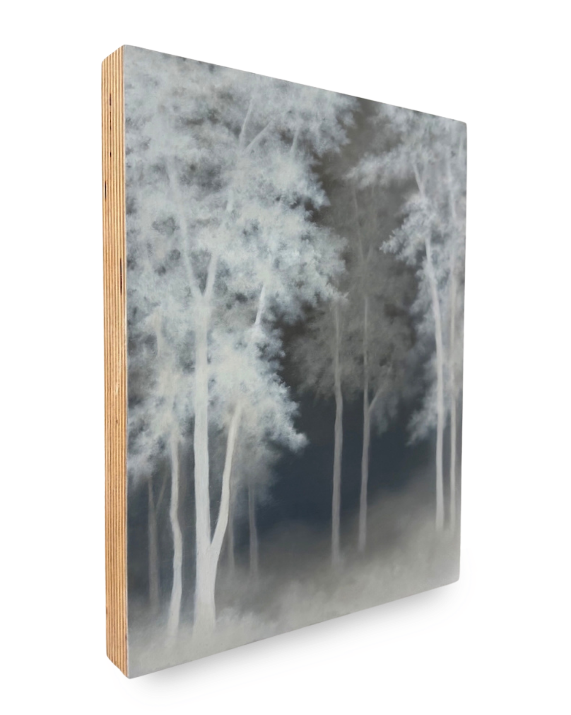 Gill Rocca: Shadow III, 2026