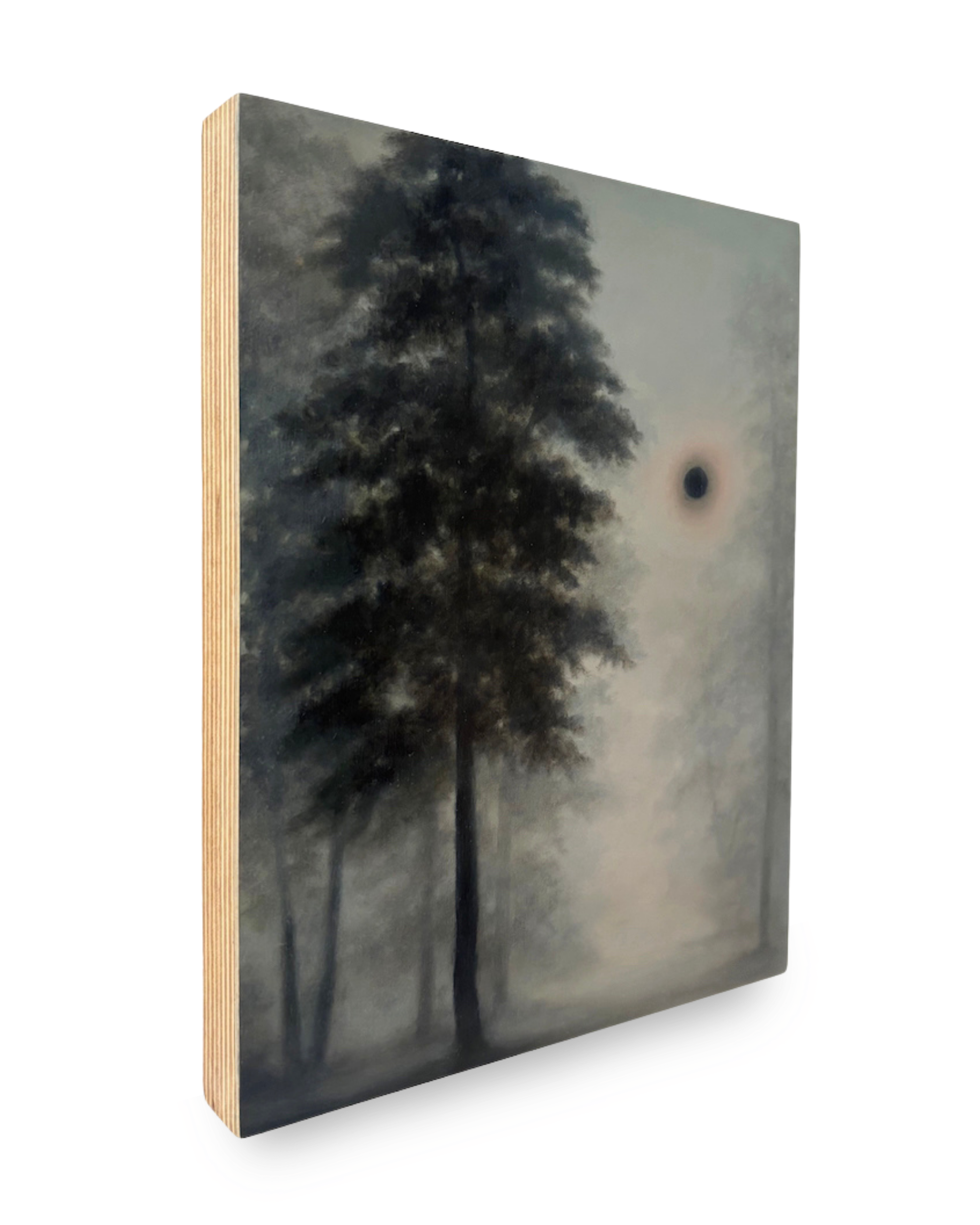 Gill Rocca: Shadow IV, 2026
