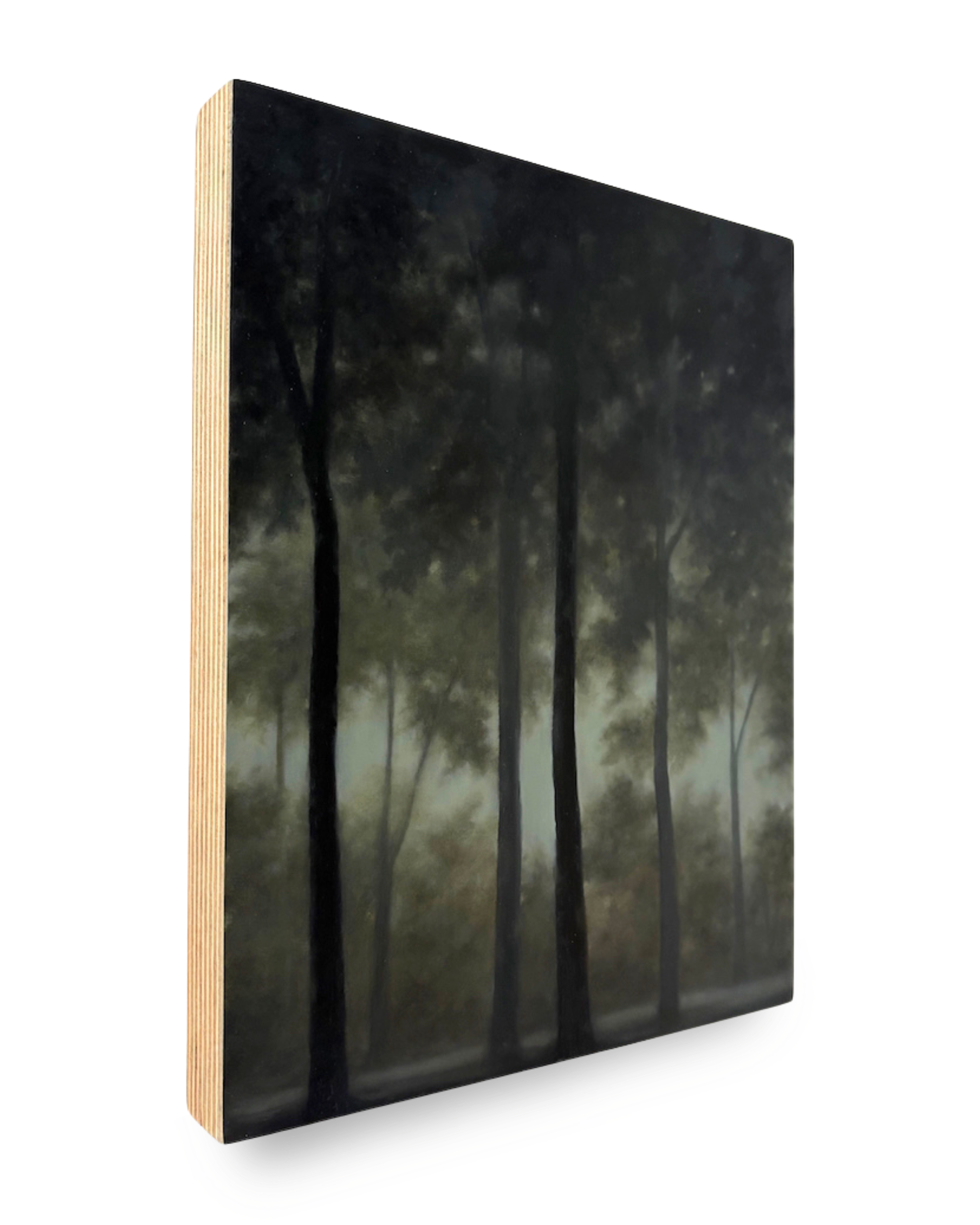 Gill Rocca: Shadow V, 2026