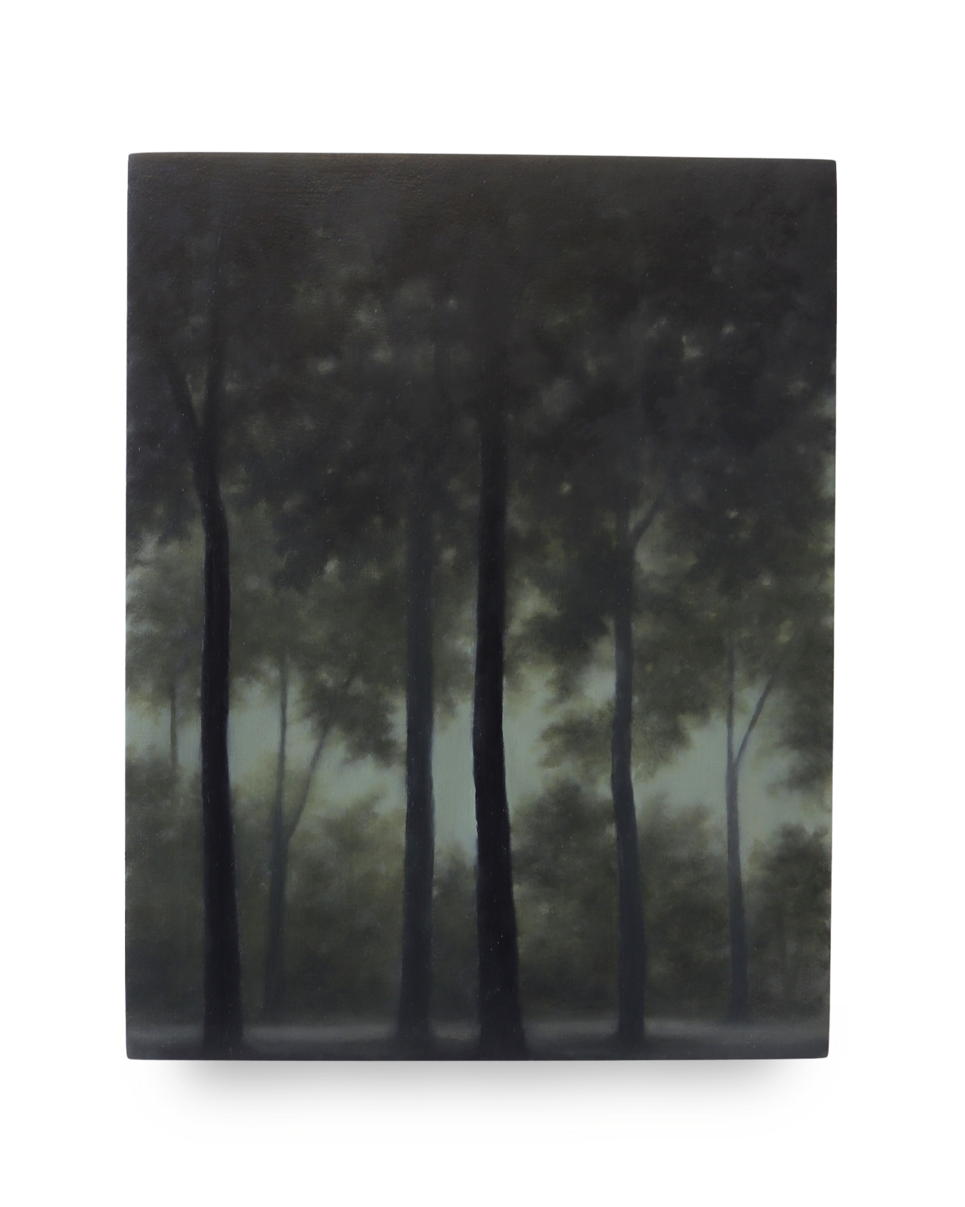 Gill Rocca: Shadow V, 2026