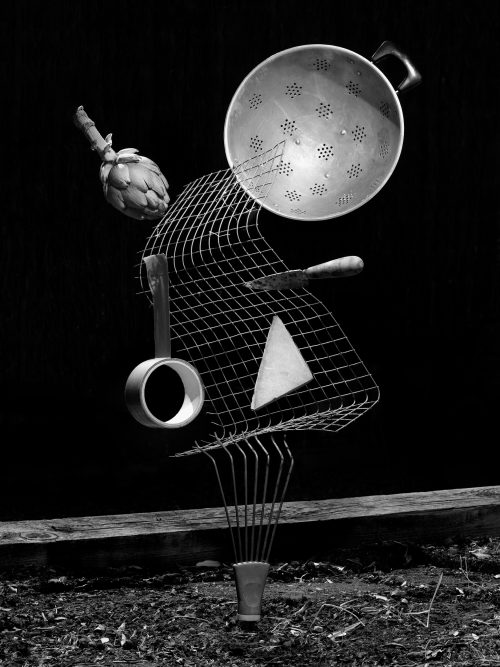 From The Ignorant Gardener | Yurian Quintanas Nobel | Open Doors Gallery