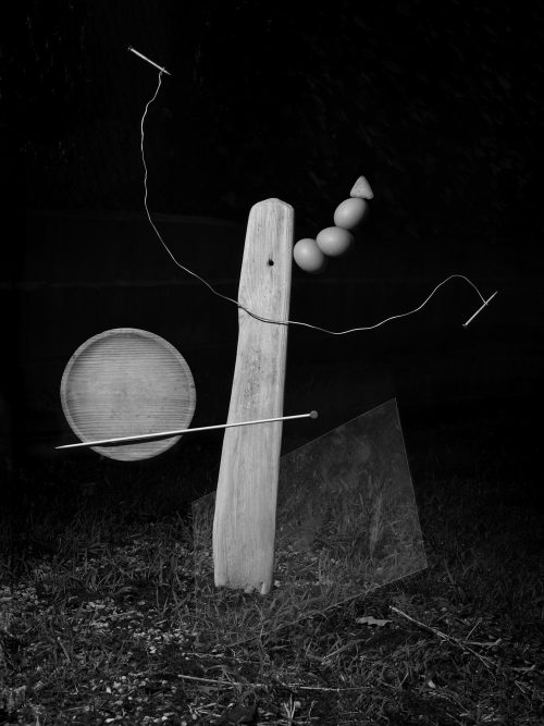 From The Ignorant Gardener | Yurian Quintanas Nobel | Open Doors Gallery