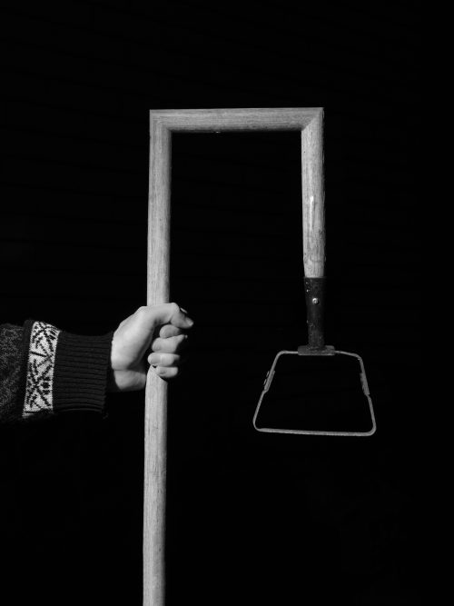 From The Ignorant Gardener | Yurian Quintanas Nobel | Open Doors Gallery