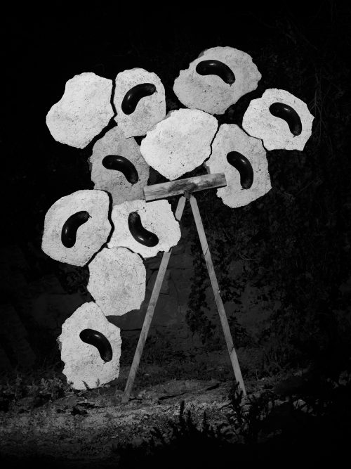 From The Ignorant Gardener | Yurian Quintanas Nobel | Open Doors Gallery