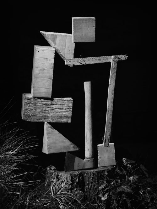 From The Ignorant Gardener | Yurian Quintanas Nobel | Open Doors Gallery