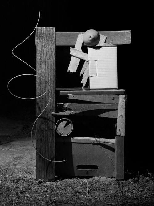 From The Ignorant Gardener | Yurian Quintanas Nobel | Open Doors Gallery