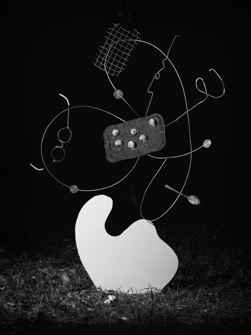 From The Ignorant Gardener | Yurian Quintanas Nobel | Open Doors Gallery