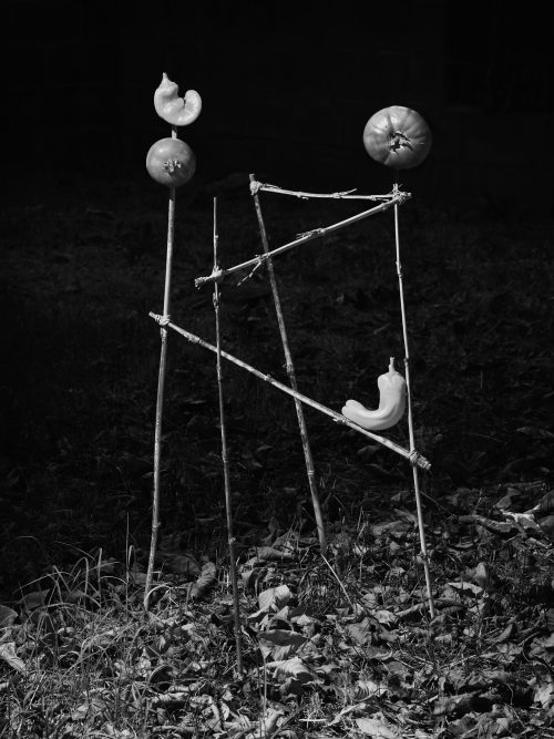 From The Ignorant Gardener | Yurian Quintanas Nobel | Open Doors Gallery