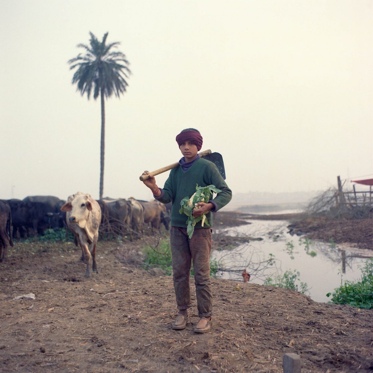 Lucas Barioulet, The Land of The Pure, OD Photo Prize, 2023 | Runner Up
